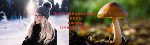 прущие грибы Пролетарск