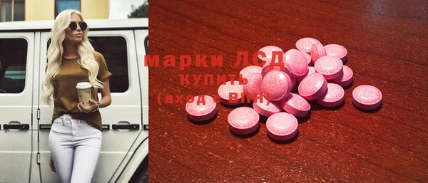 прущие грибы Пролетарск