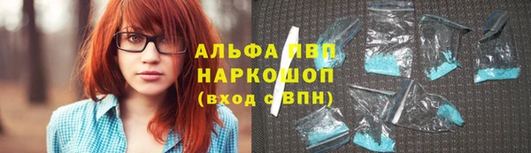 прущие грибы Пролетарск