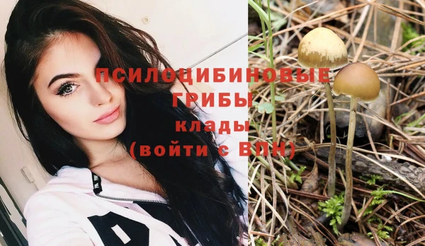 прущие грибы Пролетарск