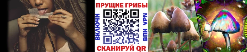 KRAKEN маркетплейс Саратов Псилоцибиновые грибы Psilocybine cubensis