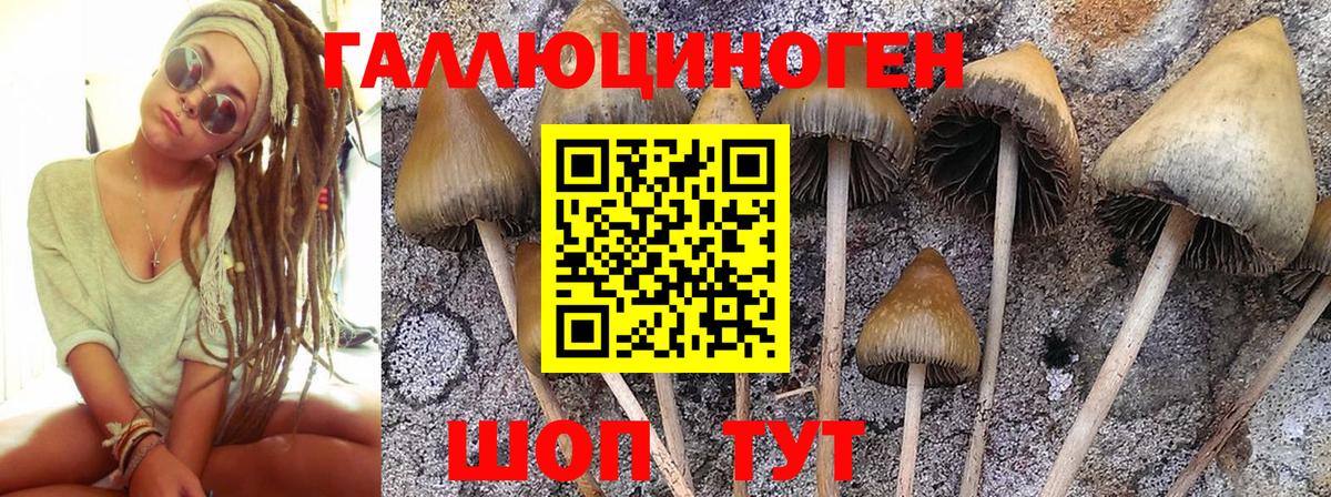 Галлюциногенные грибы GOLDEN TEACHER Саратов