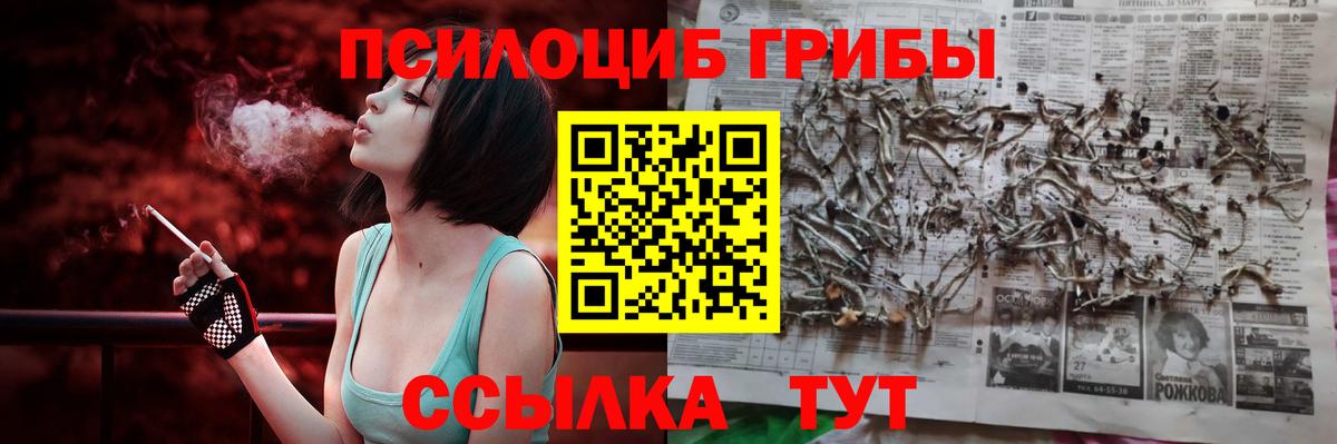 Саратов  Псилоцибиновые грибы GOLDEN TEACHER  Вход с VPN 